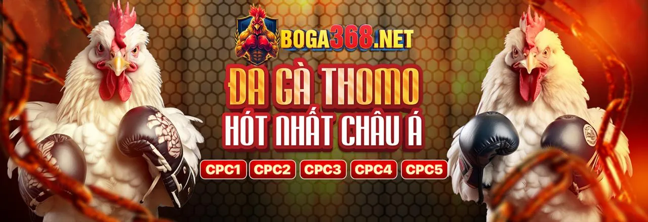 Đá gà trực tuyến sôi động tại 188cm trang chủ chính thức